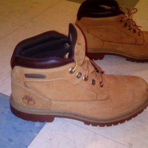 Timberland Chuckers
